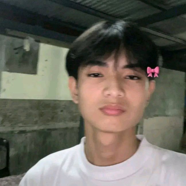Profile Picture of dustine_alt (@dustinnn_l) on Tiktok