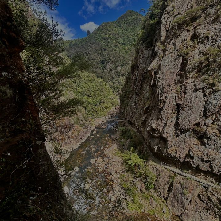 Profile Picture of Terrence (@terrence2010) on Tiktok