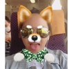 Jamie Zhang - Tiktok Profile Picture of Jamie Zhang (@@2144851025) on Tiktok
