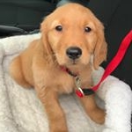 Profile Picture of Walter (@waltermoonthegolden) on Instagram