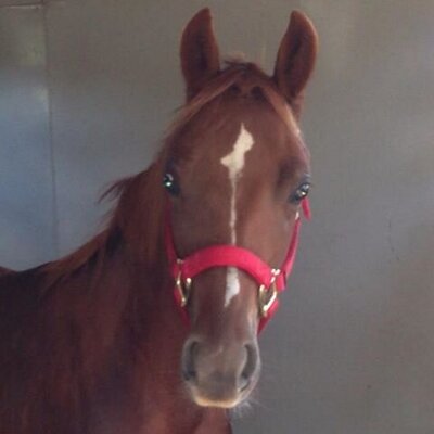 Profile Picture of Laurie Lukas (@LaurieLukas) on Twitter