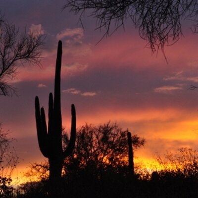Profile Picture of Neal Savage (@nealsintucson) on Twitter