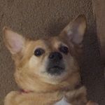 Profile Picture of Daniel Manders (@daniel_owns_hats) on Instagram