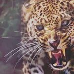 Profile Picture of чичин михаил (@chichin_mikhail) on Instagram