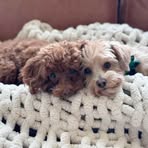 Profile Picture of Amy Brodsky (@amy.brodsky1) on Facebook