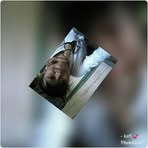 Profile Picture of Raksah Cocotan (@cuah.nesunan.1) on Facebook