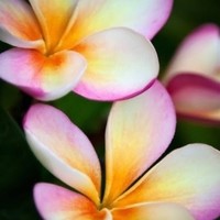 Rudy Mendiola - Quora Profile Picture of Rudy Mendiola (@rudy-mendiola) on Quora