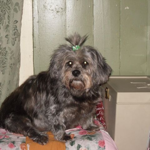 Profile Picture of Kimberly Vandevender (@kimberlyvandeve) on Poshmark