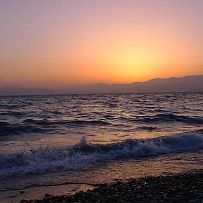 Profile Picture of Diane Tribe (@mosthauntedfan1) on Twitter