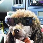 Profile Picture of Patrick Pfaff (@p_pfaff) on Instagram