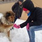 Lejla Kovacevic... - Tiktok Profile Picture of   Lejla Kovacevic... (@lkovacevic679300606) on Tiktok