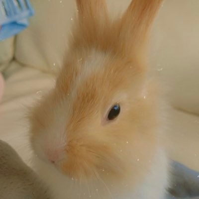 Profile Picture of Eva Hurst (@EvaHurs18077270) on Twitter