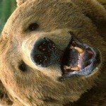 Profile Picture of Surber (@zne1robineas) on Instagram