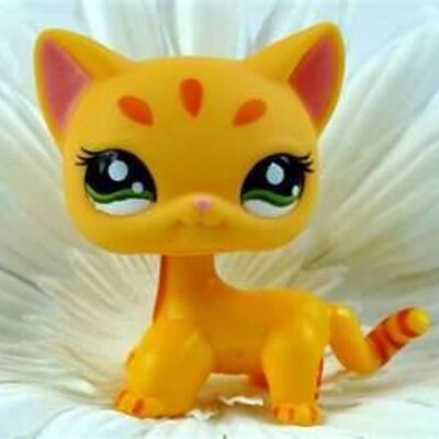 Profile Picture of Ginny Gonzalez Perez (@PerezGinny) on Twitter