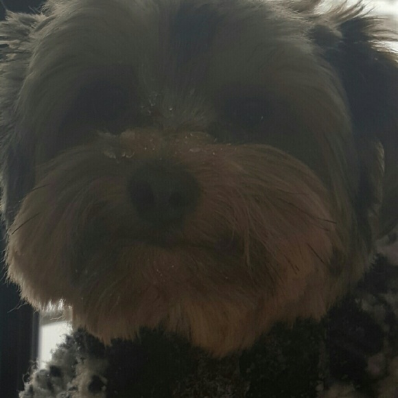 Profile Picture of Luz Balcazar (@monabalcazar) on Poshmark