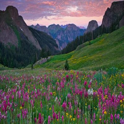 Profile Picture of Bryan Koop (@KoopDenver) on Twitter