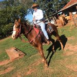 Profile Picture of Hilbervanio Calixto da Silva (@hilbervanio) on Instagram