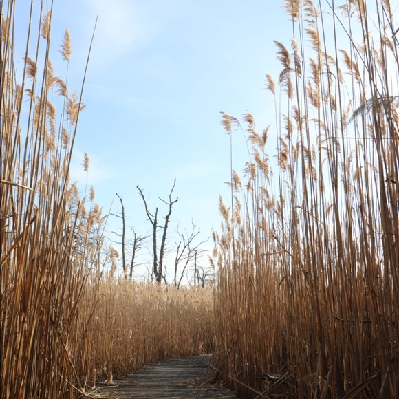 Jon Hoyler - Poshmark Profile Picture of Jon Hoyler (@jonhoyler) on Poshmark