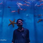 Profile Picture of ▌│█║▌║▌║ keys_Boy_Joe ║▌║▌║█│▌ (@johanson_stephen) on Instagram