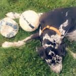 Profile Picture of Emily Yeh (@emily._.yeh) on Instagram