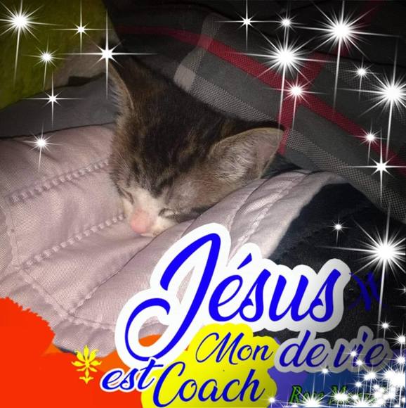 Profile Picture of Kelli Cass (@kellicass) on Poshmark