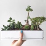 Profile Picture of Hyesun (@apuesto.hs) on Instagram