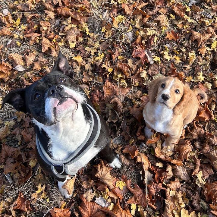 Profile Picture of Lisa Stanger (@lisastanger) on Tiktok