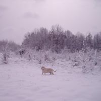 Profile Picture of Michael Bruchey (@mbruchey) on Pinterest