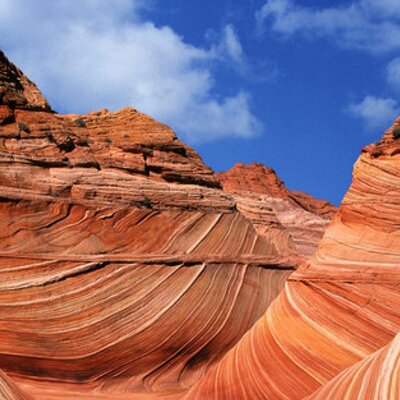 Profile Picture of Brad Whitsett (@Profit_brad) on Twitter