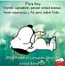 Profile Picture of Adam Puga (@adam.puga.16) on Facebook