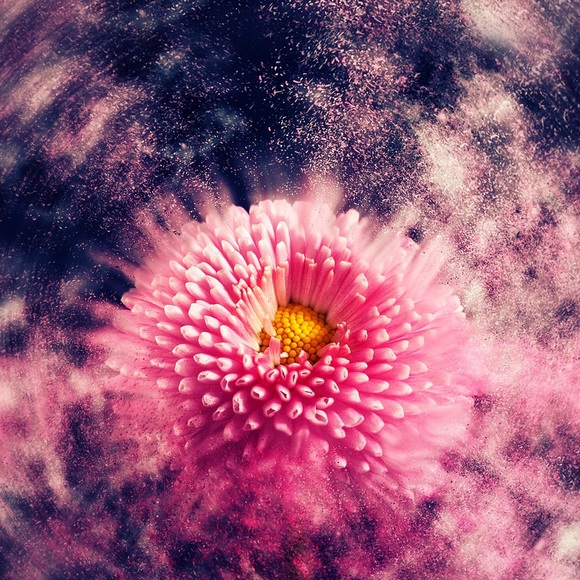 Profile Picture of Gina Aulicino (@gbiardl36) on Poshmark