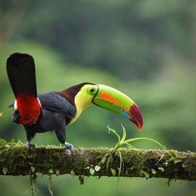 Profile Picture of Reinier Gómez (@ReinierGmez2) on Twitter