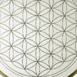 Profile Picture of Howard roark (@aimtcb) on Instagram