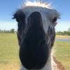 Profile Picture of Joyce right (@@solth2000) on Tiktok