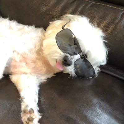 Profile Picture of Matthew Xu (@mackdeushoe) on Twitter