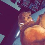 Profile Picture of Blake Haley (@blake_haley05) on Instagram