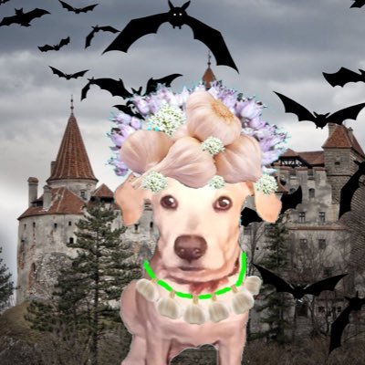 Profile Picture of Sheila Odom (@tweetypie54) on Twitter