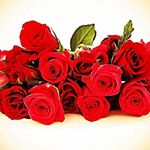 Profile Picture of Christophe Leroux (@christolerou) on Instagram