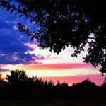 Profile Picture of Phyllis Hannon (@phyllishannon) on Instagram