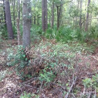 Profile Picture of Jason Nettle (@jason.nettle.5220) on Facebook