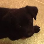 Profile Picture of Caley Alyssa Brown (@softball_04_basketball_04) on Instagram