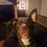 Profile Picture of Keith Stanton (@unicornkiller1709) on Instagram