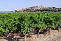 Profile Picture of Bages, Audeon Wikipedia
