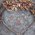 Profile Picture of Yasuko Watanabe (@yasuko_watanabe888) on Instagram