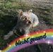 Profile Picture of Annette Dietrich (@annette.dietrich.129) on Facebook