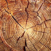 Profile Picture of Andrew Warnock (@UnaWarlock) on Youtube