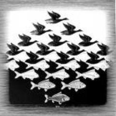 Profile Picture of Adrian Hawkins-Haas (@HawkAndHare) on Twitter