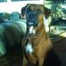 Profile Picture of Lori Wiles (@lori.wiles.188) on Facebook