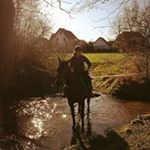 Jenni Frank - Instagram Profile Picture of Jenni Frank (@j.e.n.n.i.9.2) on Instagram