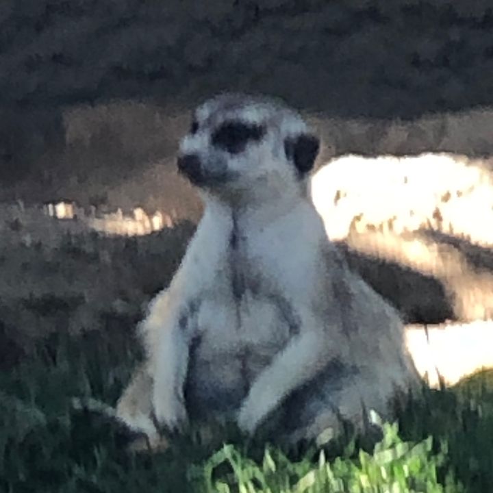 Profile Picture of Tyler Clinkingbeard (@tyler_legi7) on Tiktok